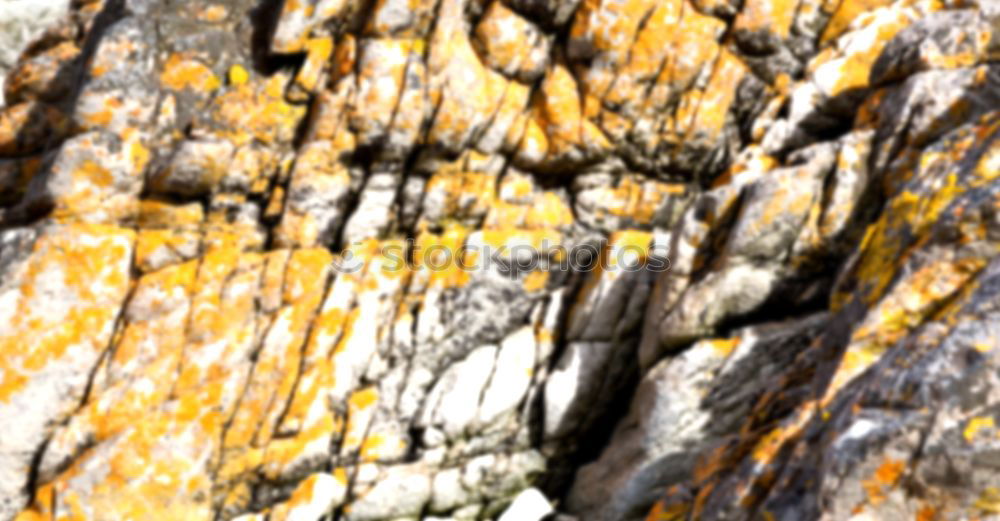 Similar – Image, Stock Photo lichen again Rock