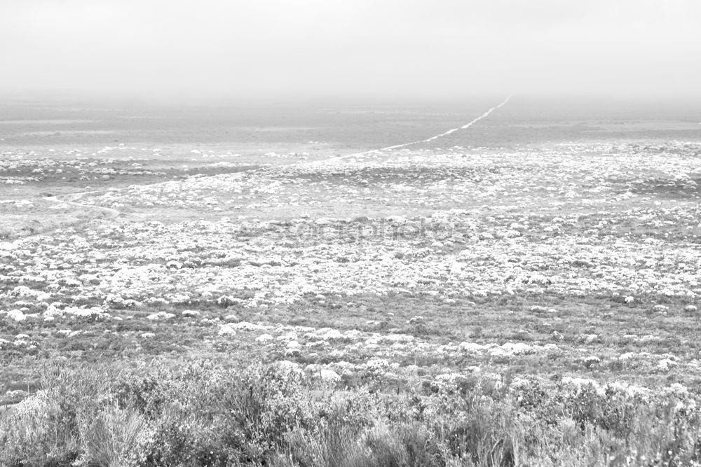 Similar – Foto Bild strandgang Strand Küste