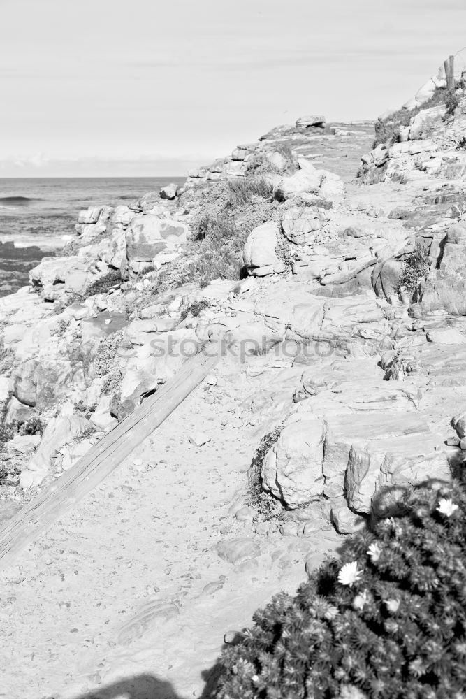 Similar – Image, Stock Photo Wind II Art Work of art