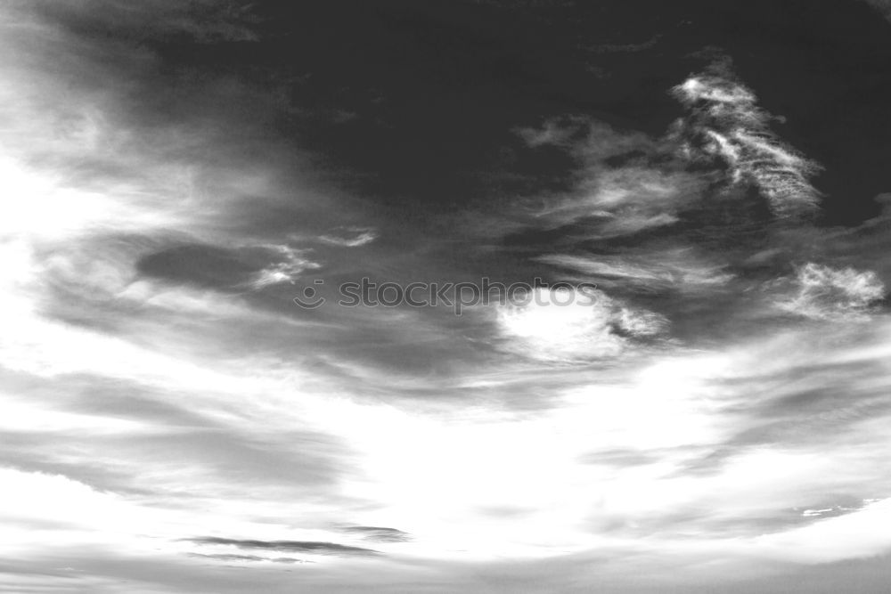 Similar – Image, Stock Photo Alone? Sheep Clouds Gale