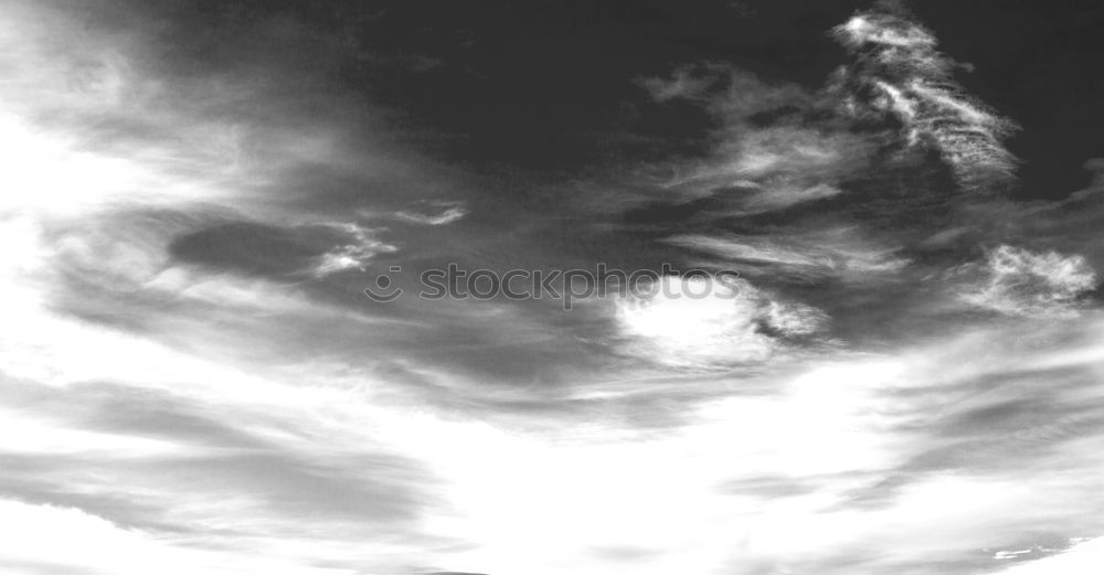 Similar – Image, Stock Photo Alone? Sheep Clouds Gale