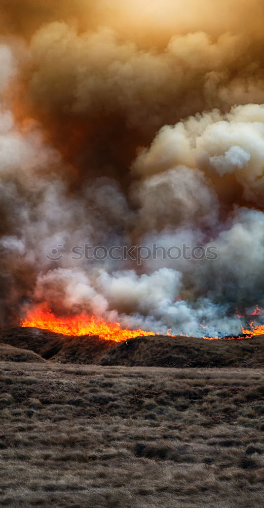 Similar – Foto Bild Feuerland Natur Landschaft