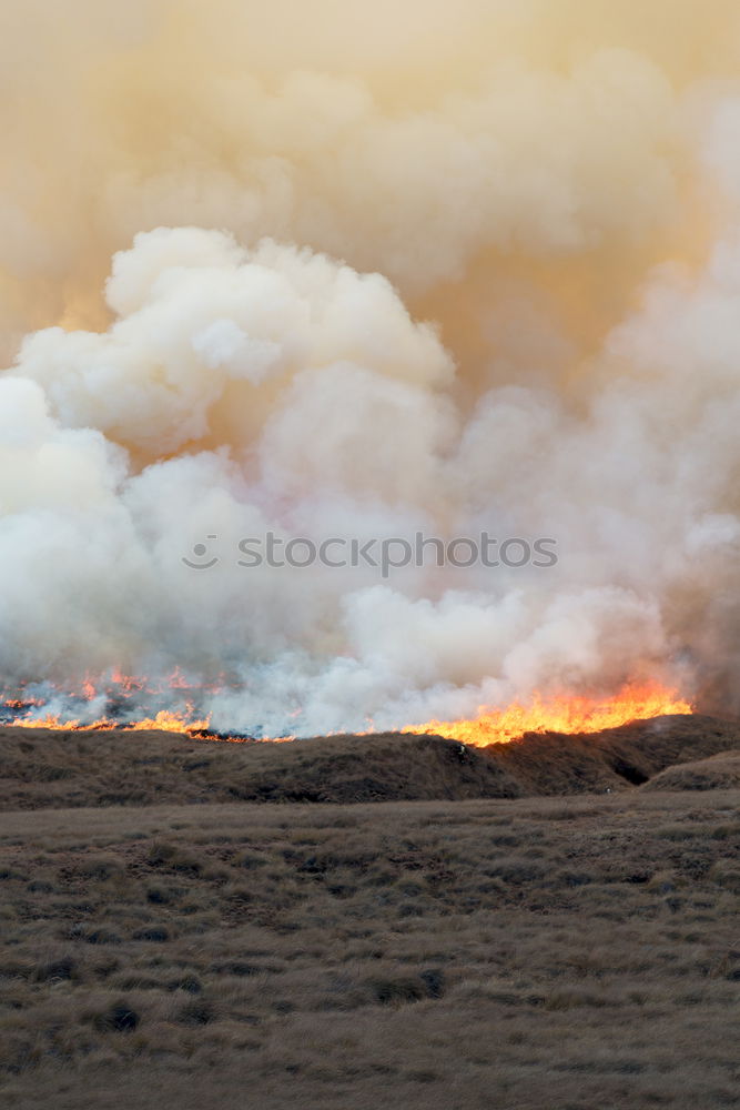 Similar – Foto Bild Feuerland Natur Landschaft