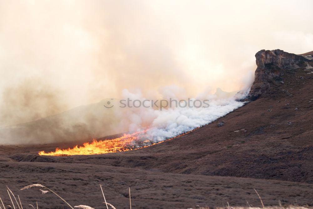 Similar – Image, Stock Photo Dramatic Detail Fire Burning Hill Brush and Tree