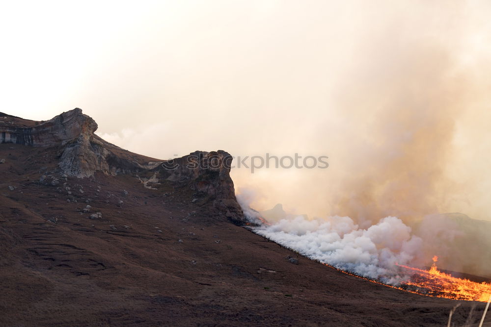 Image, Stock Photo Dramatic Detail Fire Burning Hill Brush and Tree