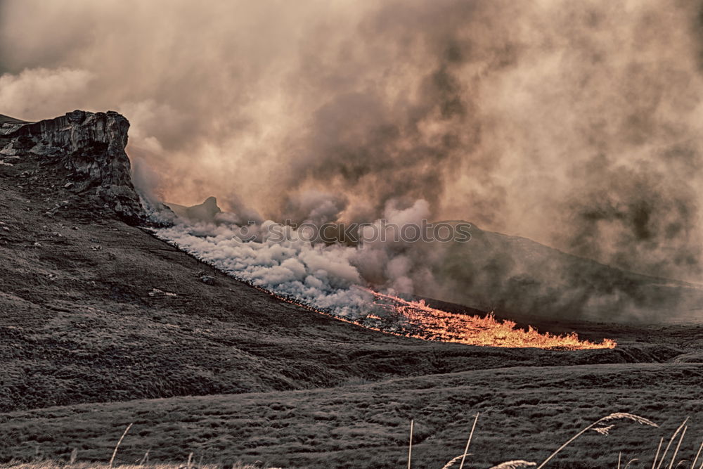 Deichbrand #6 Feuerwehr