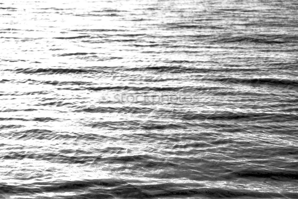 Similar – Foto Bild As the tide, we both know I cannot stay.