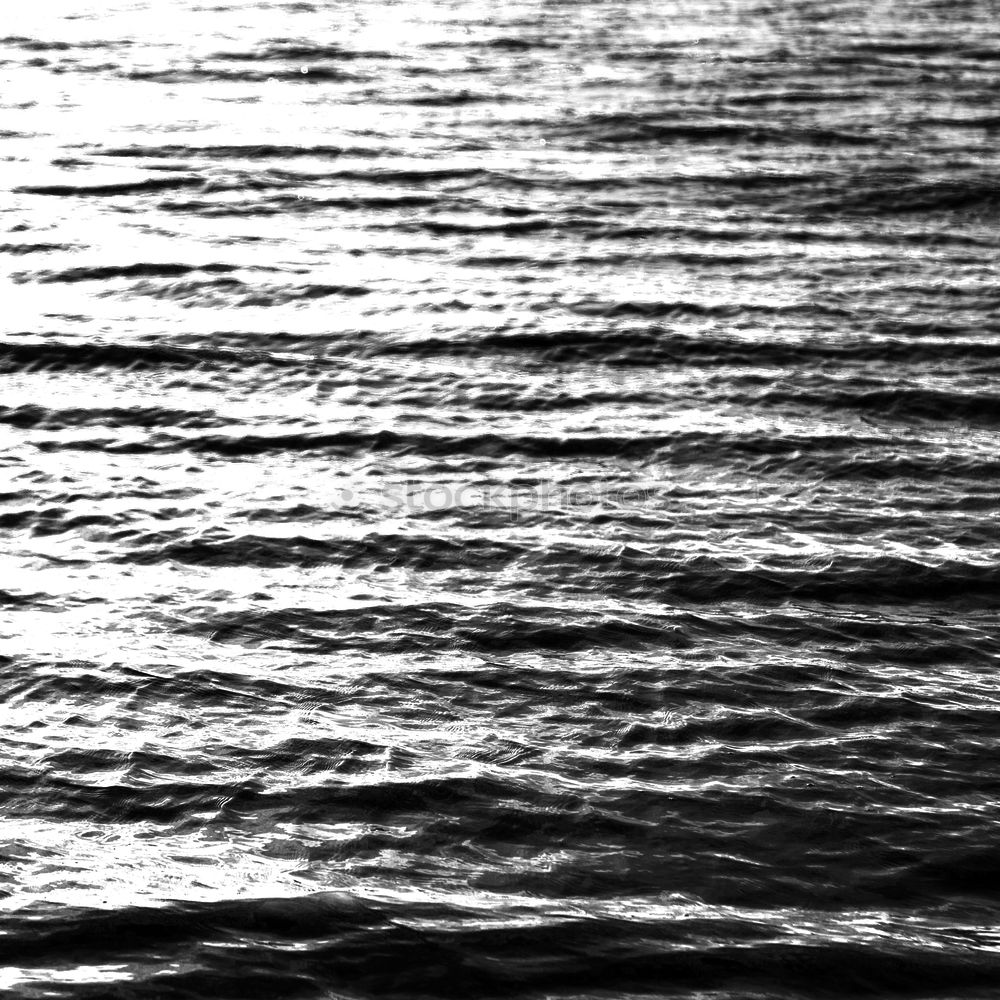 Similar – Image, Stock Photo shadowsurfer