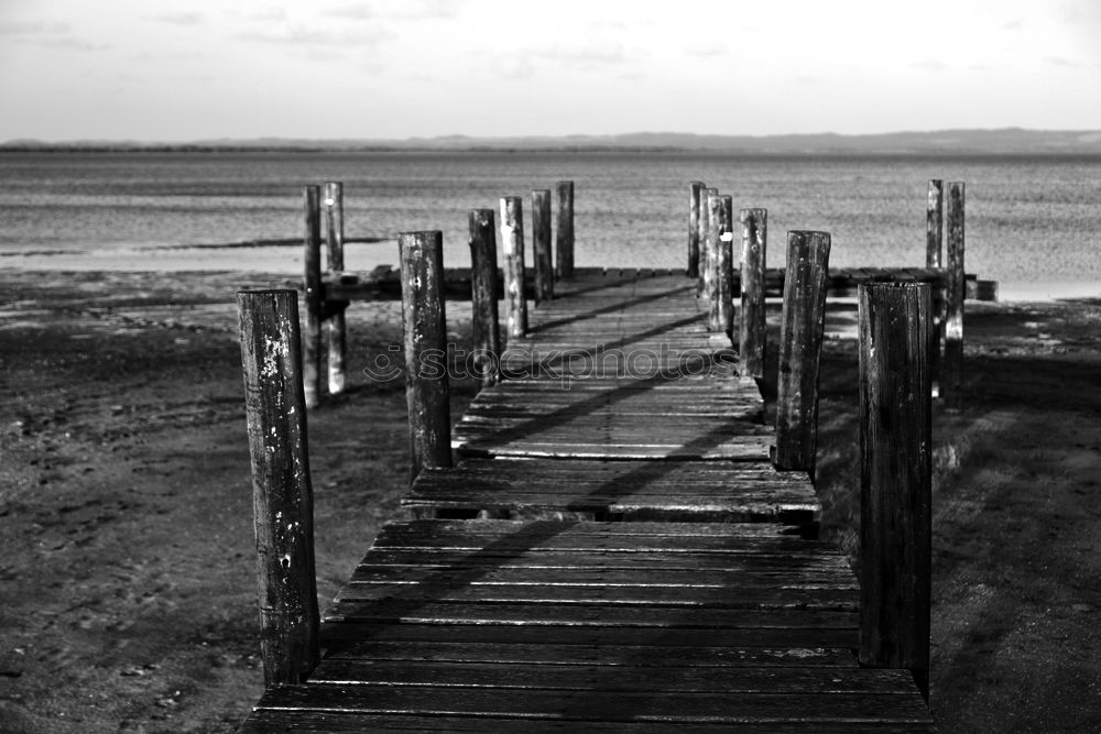 Similar – Ebbe Gezeiten Wattenmeer