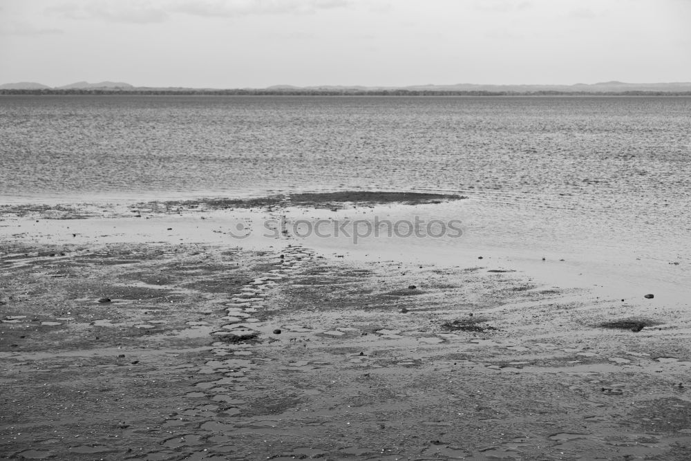 Similar – mudflat landscape