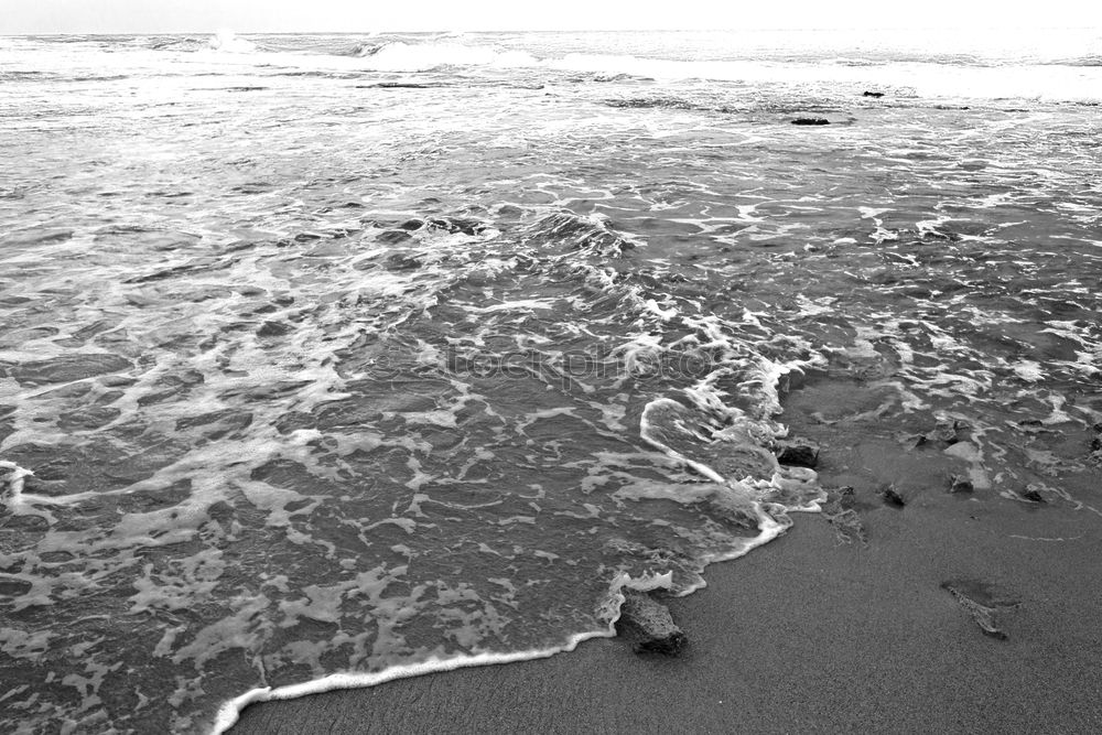 Similar – Foto Bild Strandleben Möwe Vogel