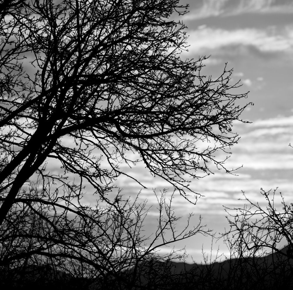 evening sky harmonisch