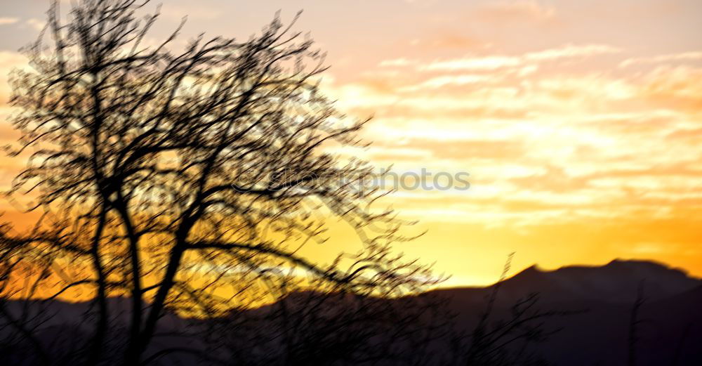 Similar – Sky after Rain Dach Wolken