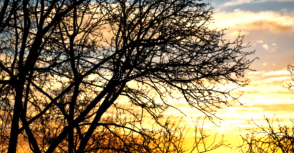 Similar – Image, Stock Photo windswept Landscape