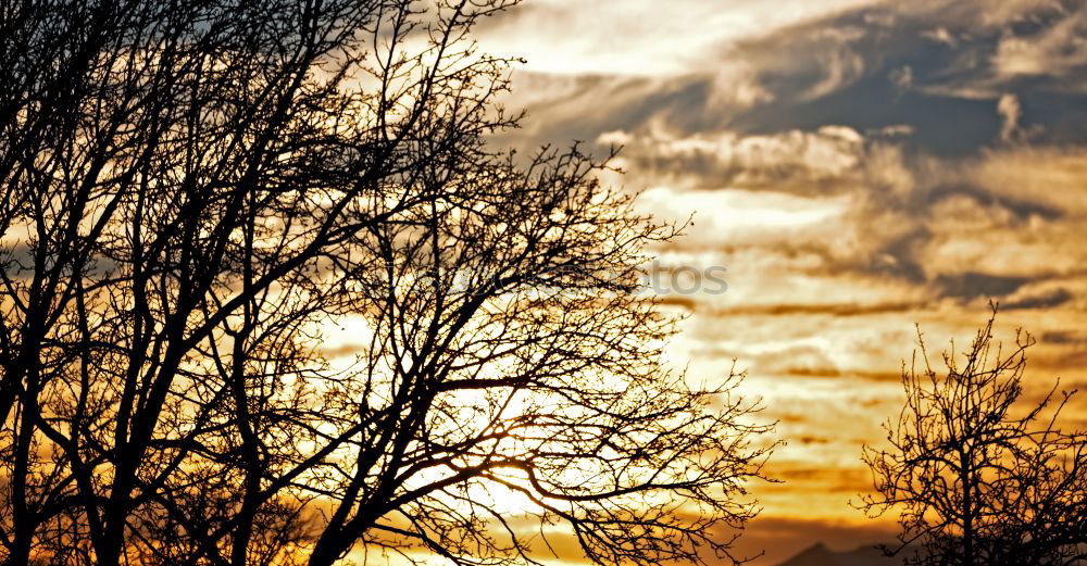 Similar – Image, Stock Photo windswept Landscape