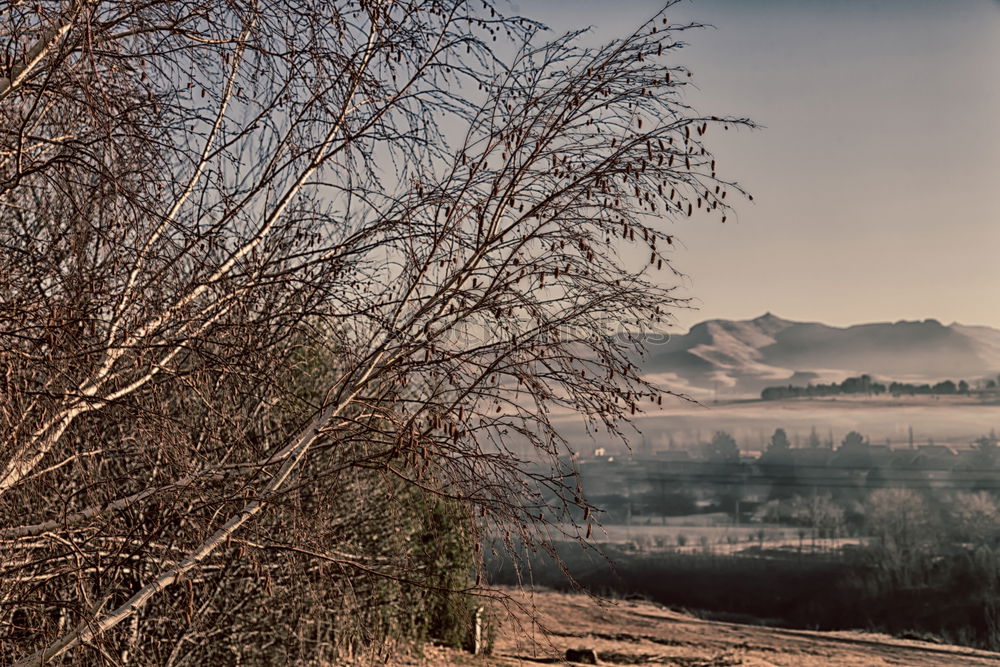 Similar – Image, Stock Photo View into the valley Fog