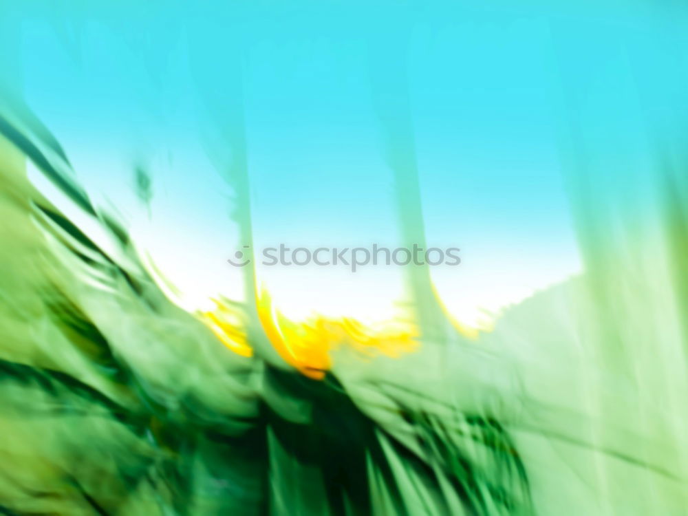 Similar – Image, Stock Photo soccer goal Playing