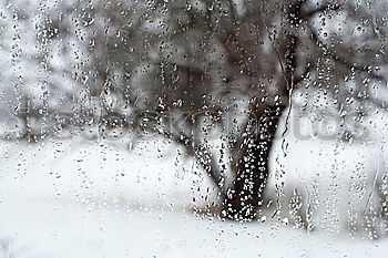 Similar – Old man with walking stick walks across snowy street