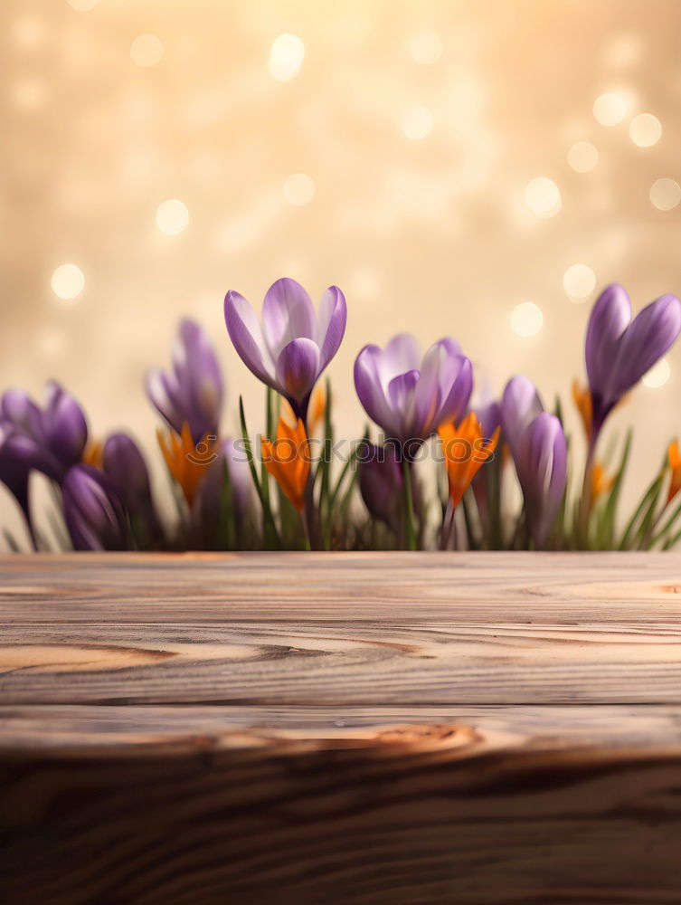 Similar – Image, Stock Photo Spring breeze II Style