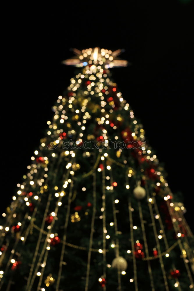 Similar – Image, Stock Photo Ulm Christmas Market