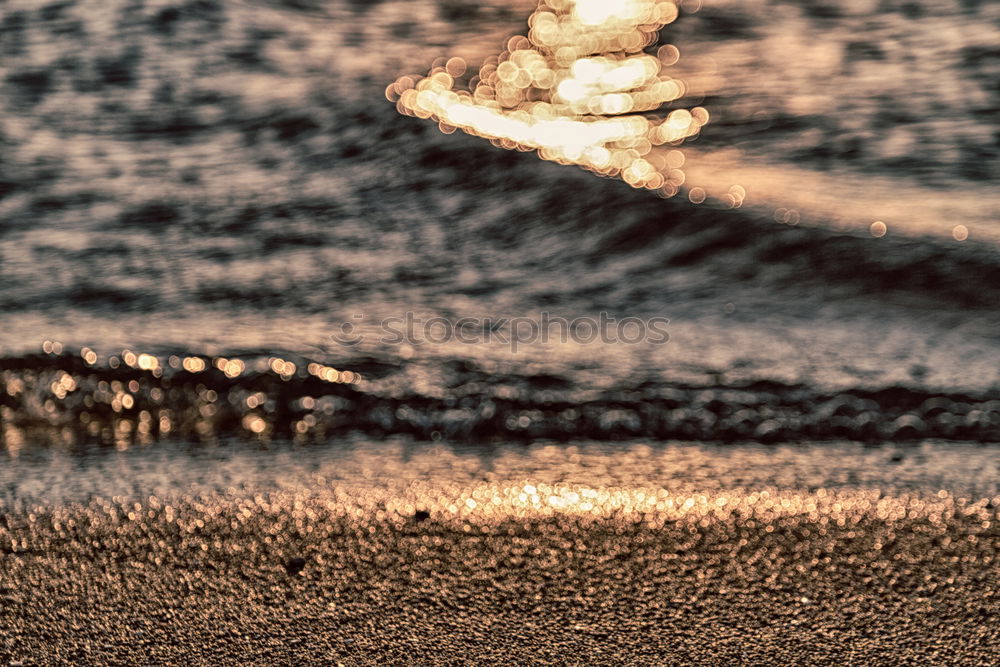 Similar – Image, Stock Photo Clams on the beach Exotic