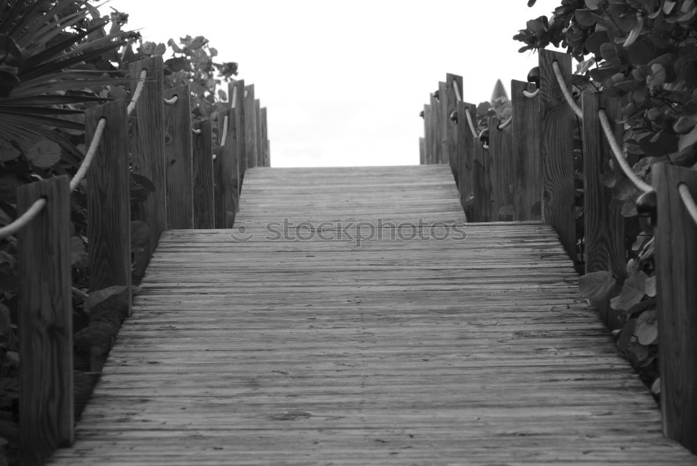 Similar – Image, Stock Photo pergola Sky Horizon Spring