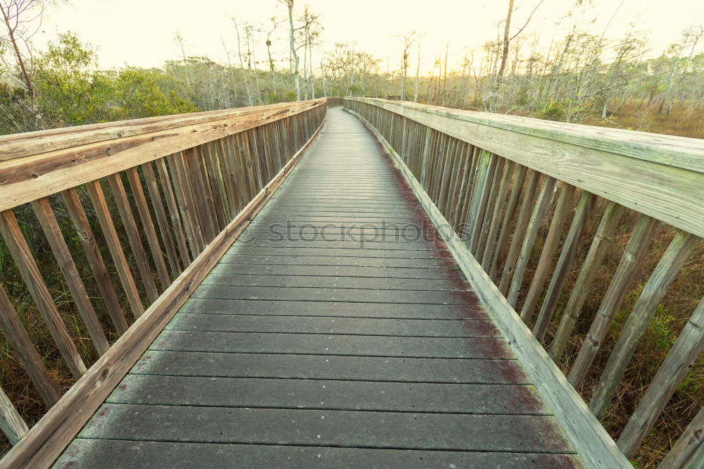 Similar – Foto Bild another bridge Sigmaringen