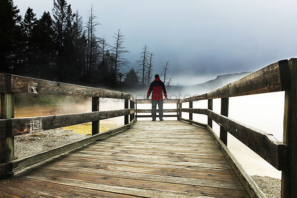 Similar – Image, Stock Photo Crop hand outstretched towards landscape