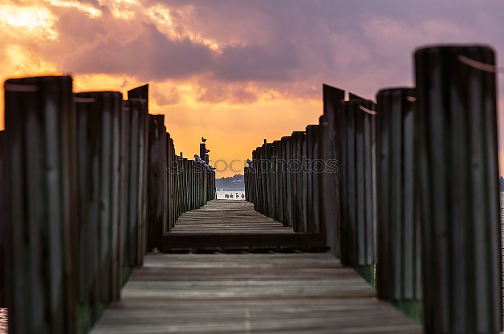 Similar – Is this the famous Holzweg?