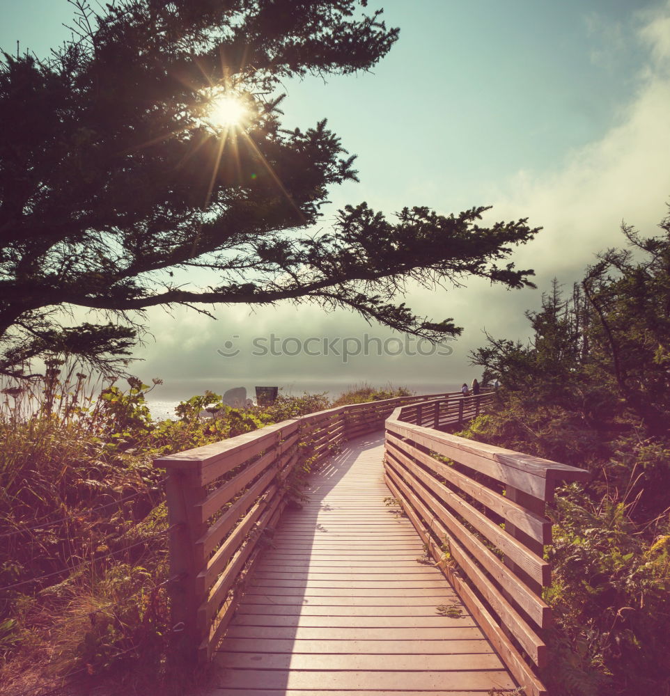 Similar – Image, Stock Photo autumn paths Nature