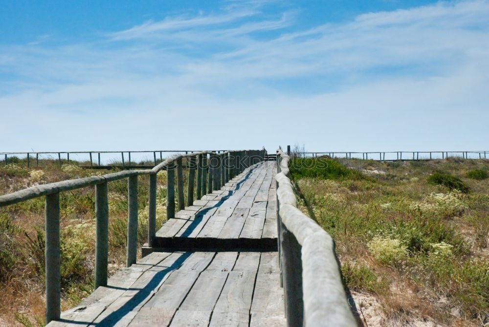 Similar – Beach chairs at the Baltic Sea beach