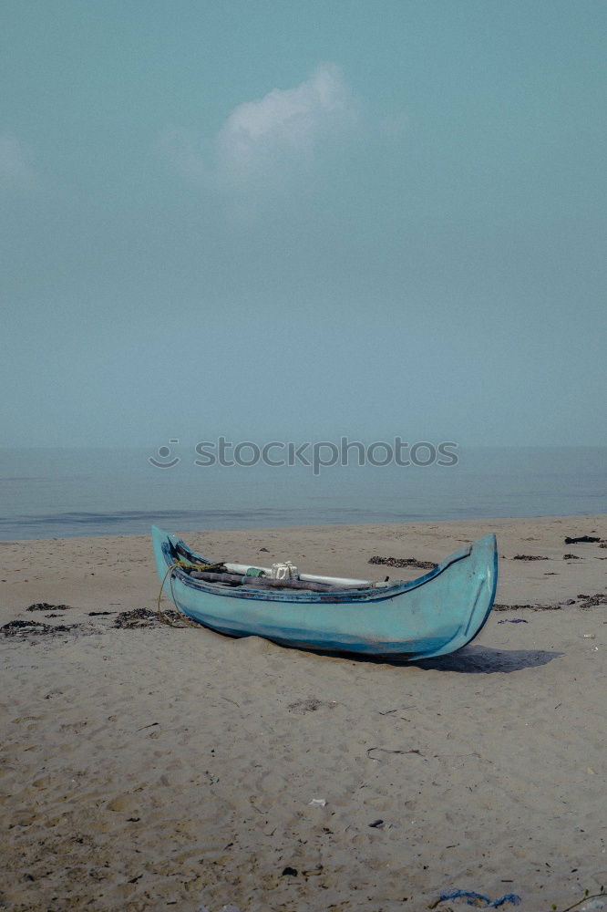 Similar – Woman sitting with dog in the dunes on the North Sea coast