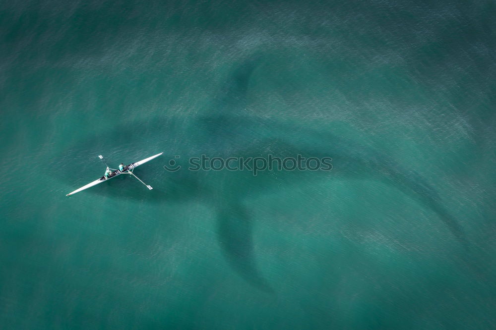 Similar – Motor boat on blue Lake Garda II