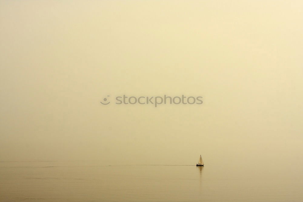 Similar – flamants Animal Pond Lake