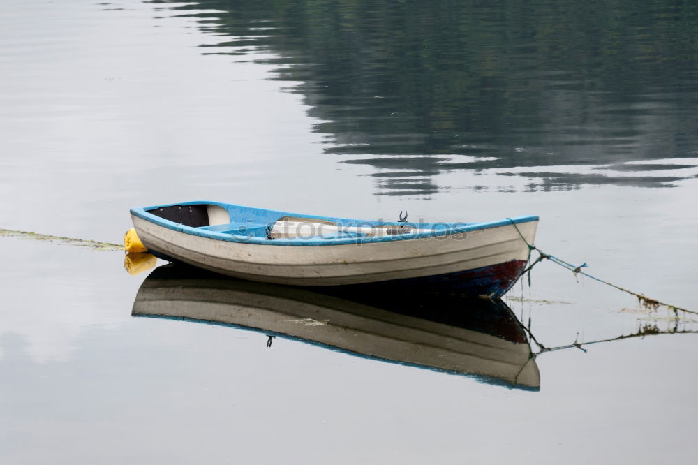 Similar – am See Steg Holz Möwe