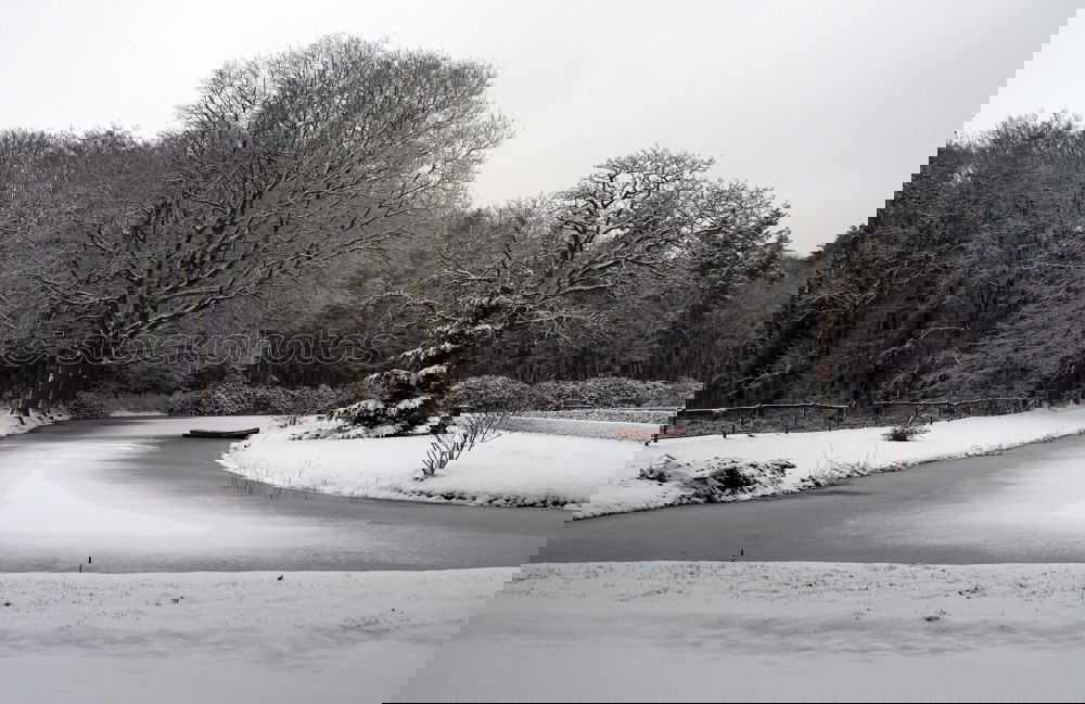 Similar – Image, Stock Photo Still the lake rests in winter