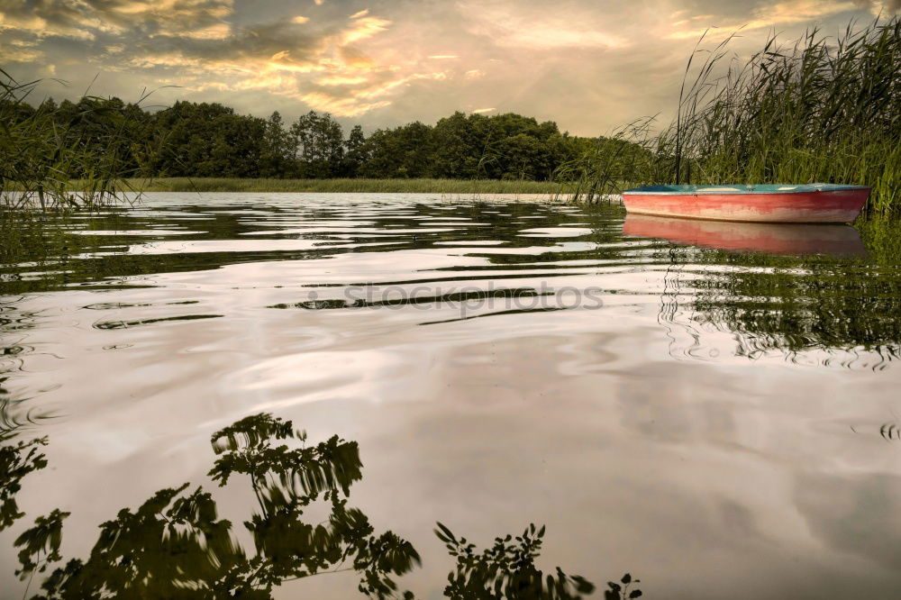 Similar – Lake in Sepia Environment