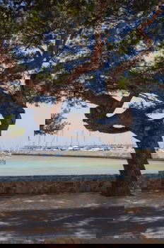 Similar – Image, Stock Photo Direction beach