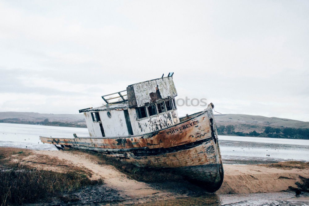 Similar – Iceland Environment Nature