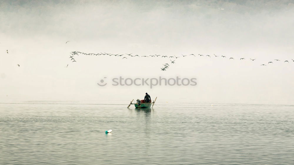 Similar – Image, Stock Photo Waiting for love