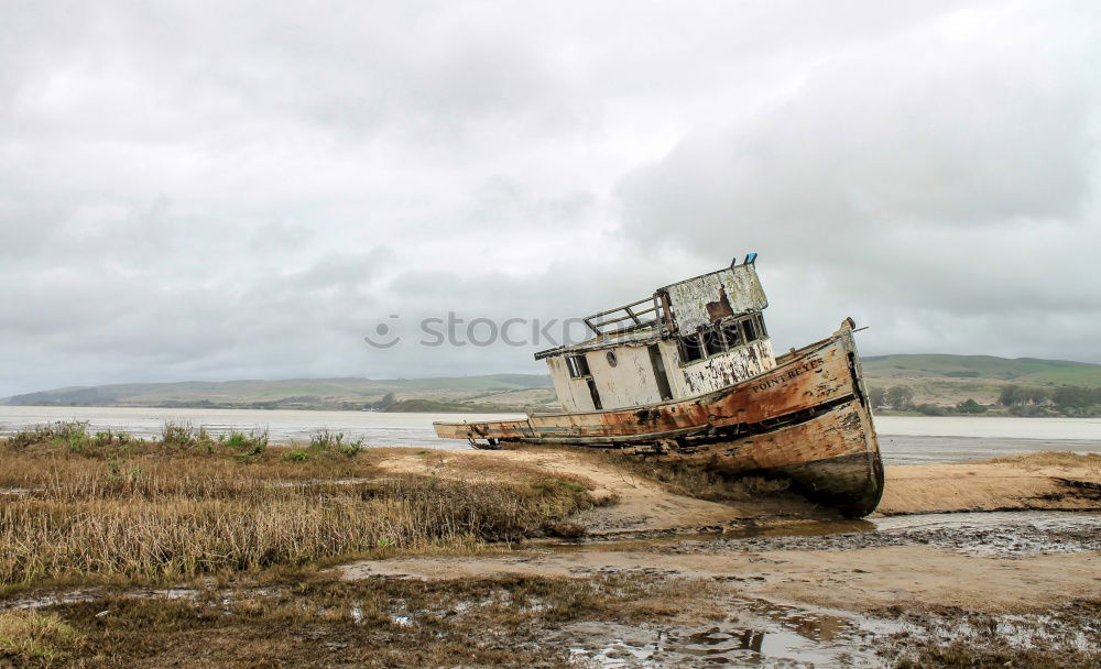 Similar – Image, Stock Photo shore leave Landscape Sand