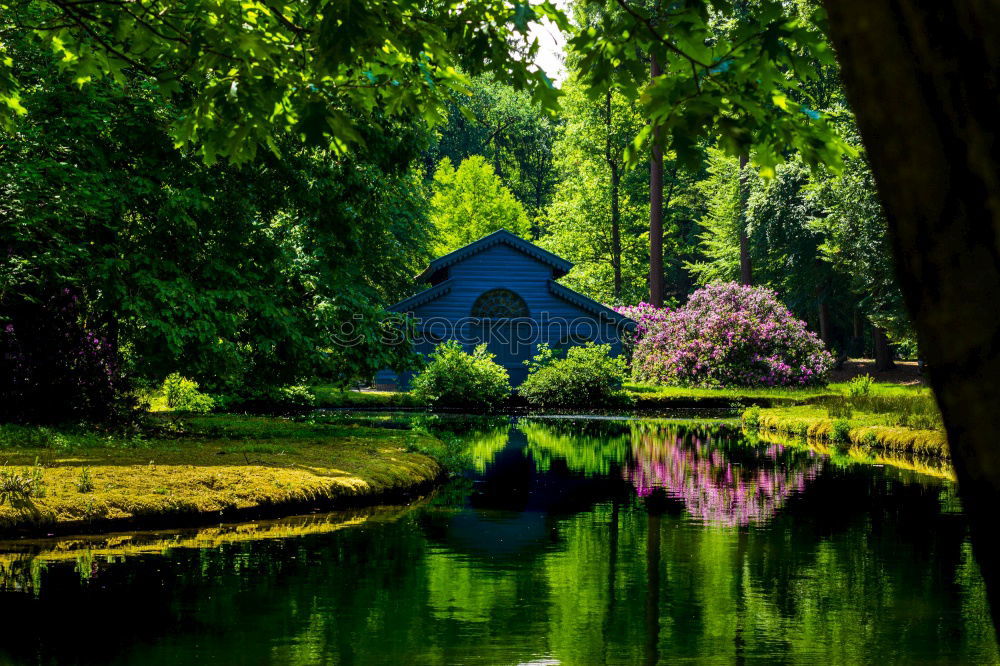 Similar – Image, Stock Photo duck castle Landscape
