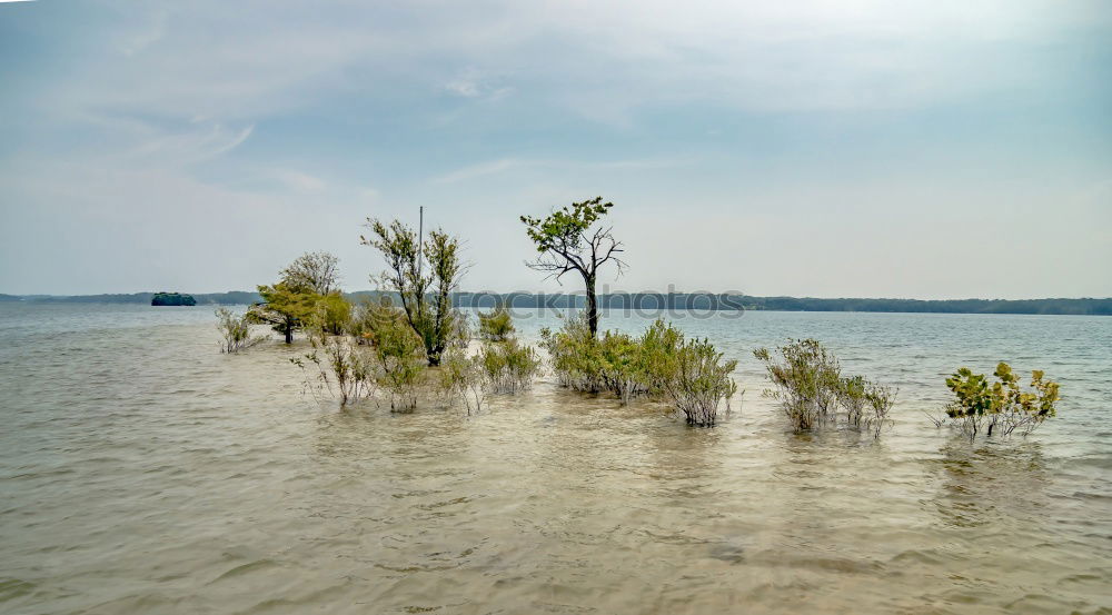 Similar – Ilha de Itaparica Clouds