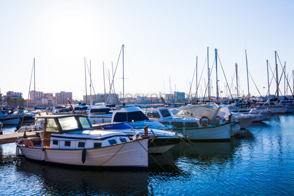 Similar – Olive trees, sea and sunse