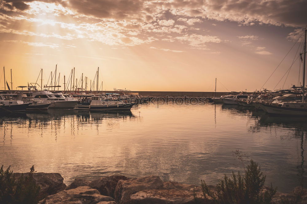 Similar – Olive trees, sea and sunse