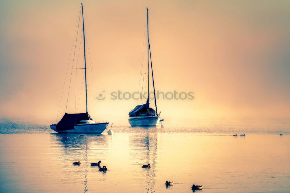 Similar – Image, Stock Photo Sailboat on a lake Joy