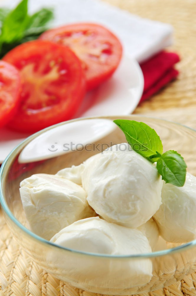 Italian cheese burrata, tomatoes, basil and bread