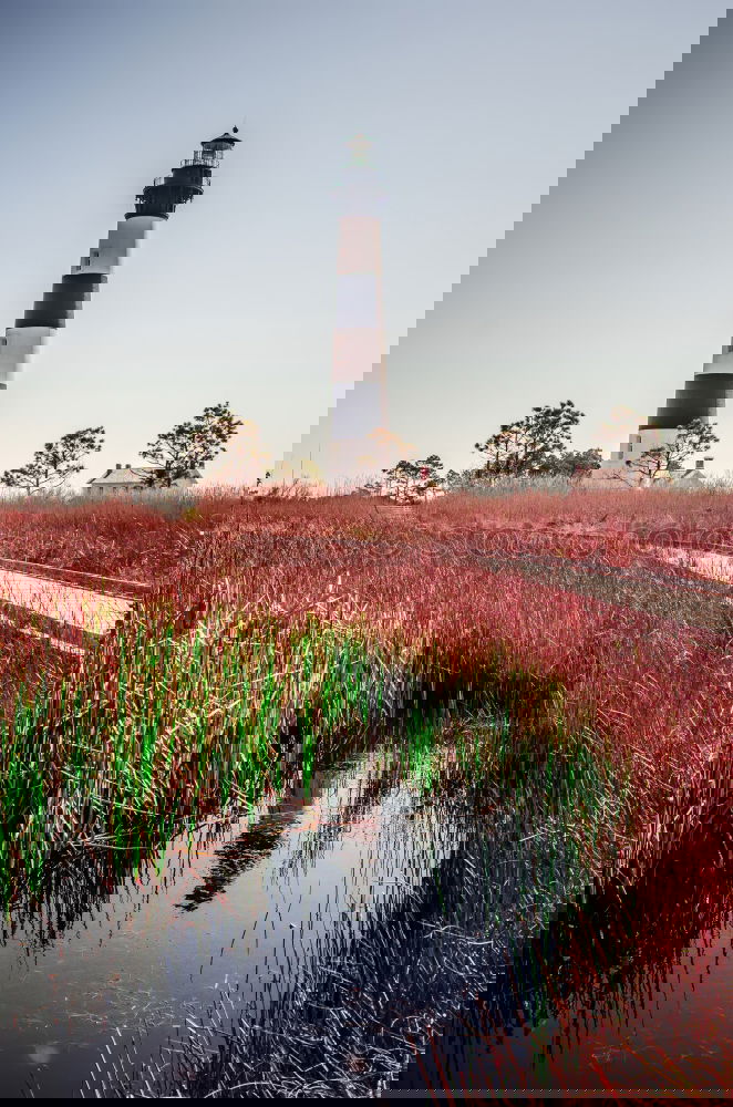 Similar – Image, Stock Photo Dune grass and Westerhever lighthouse