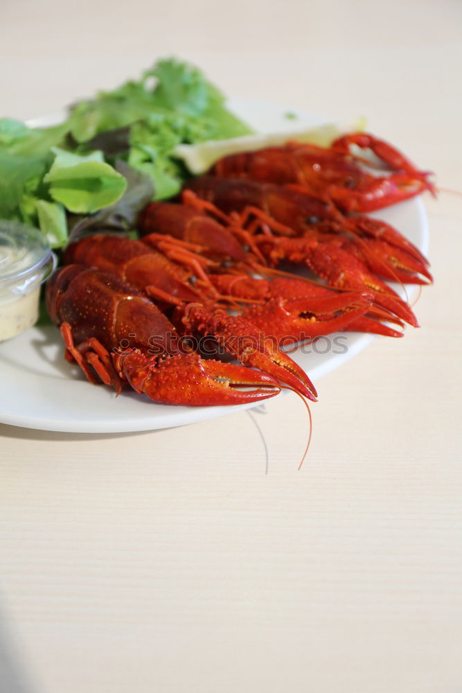 Similar – Image, Stock Photo Food photo II