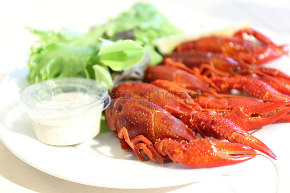 Similar – Image, Stock Photo Food photo II